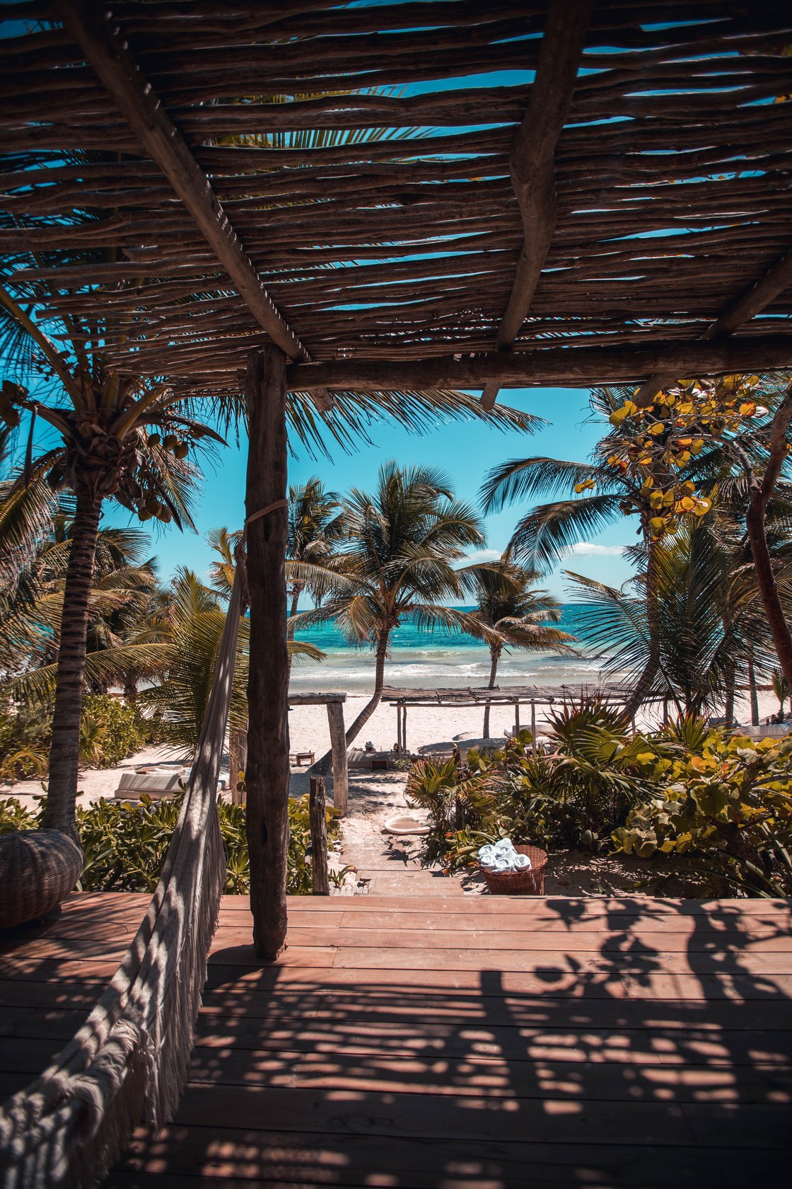 boardwalk with palm trees